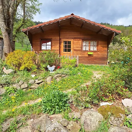 Le Repaire De Mitzerle *