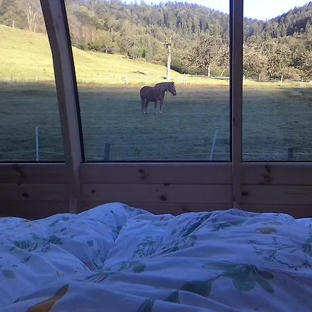 Le Repaire De Mitzerle Chalé Mitzach