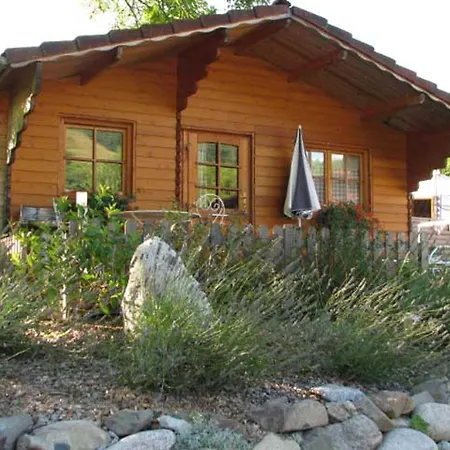 Le Repaire De Mitzerle *