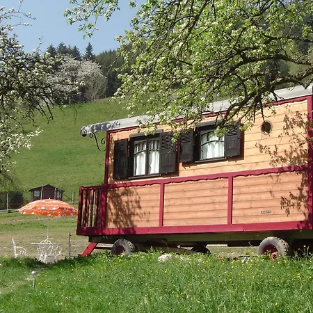 Le Repaire De Mitzerle * Mitzach