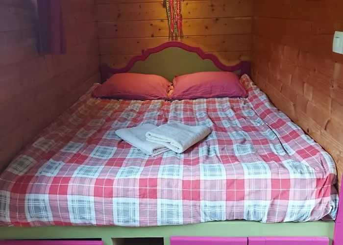 Le Repaire De Mitzerlé Chalet Mitzach