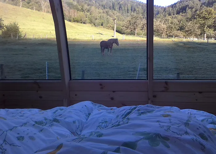 Le Repaire De Mitzerlé Chalet Mitzach