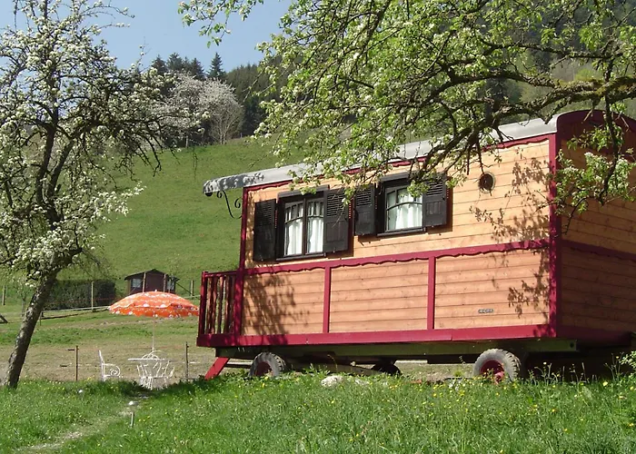 Le Repaire De Mitzerlé * Mitzach