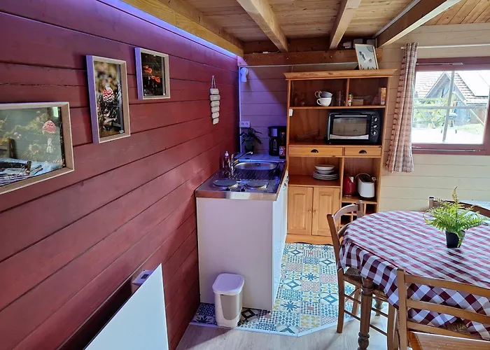 Le Repaire De Mitzerlé Chalet Mitzach