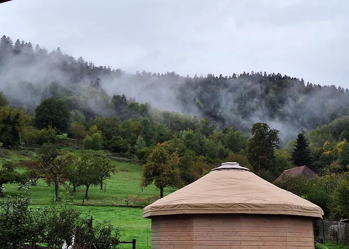 Le Repaire De Mitzerlé *